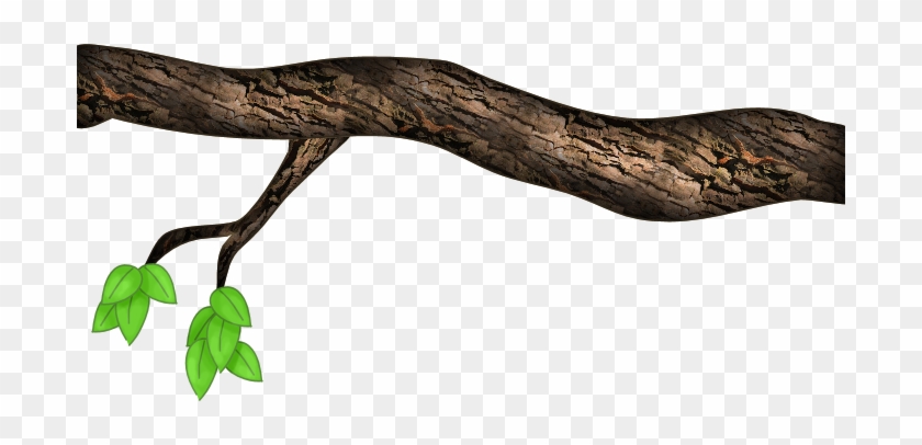 Treebranch 1 Photo By Winterberry2 - Rock Python #415159