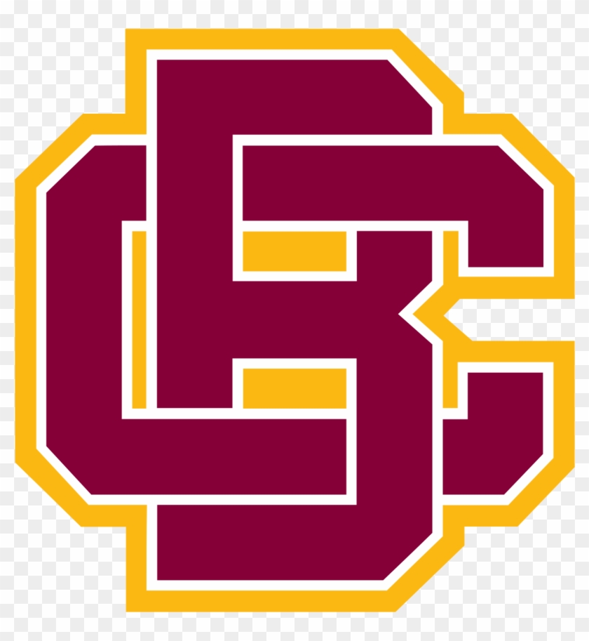 Bethune Cookman Wildcats Logo #415433