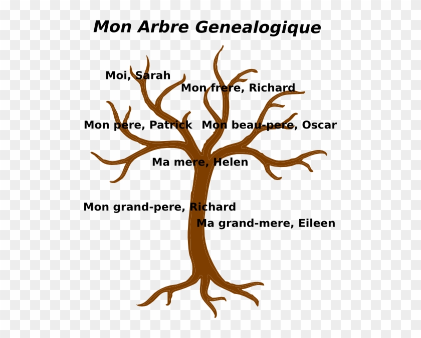 Family Tree Clip Art At Clker - Bare Tree Clip Art #415631