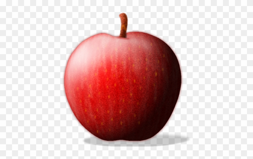 Object Of The Fortnight - Apple #415951