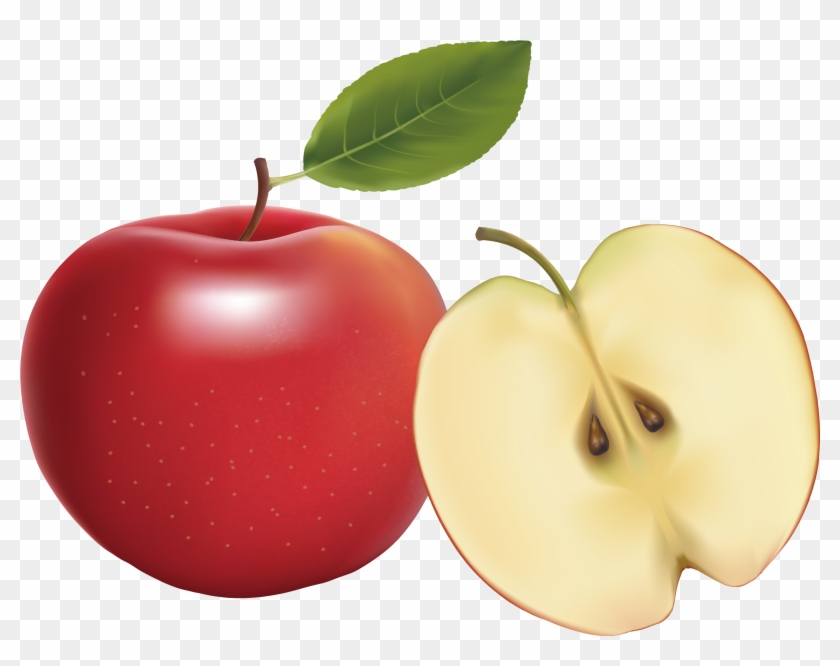 Apple Euclidean Vector Vecteur - Euclidean Vector #416130