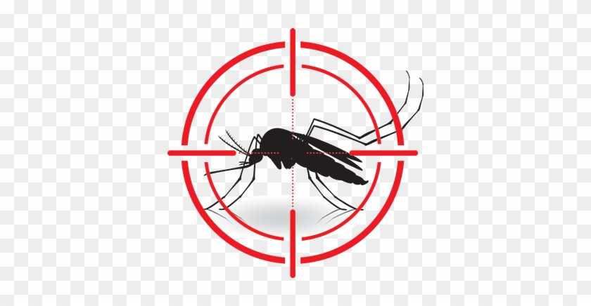 Don't Let Biting Insects Steal Your Party, Whether - Mosquito Vector #416407
