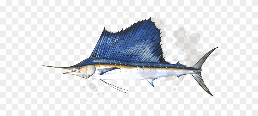 Sailfish Png #416410