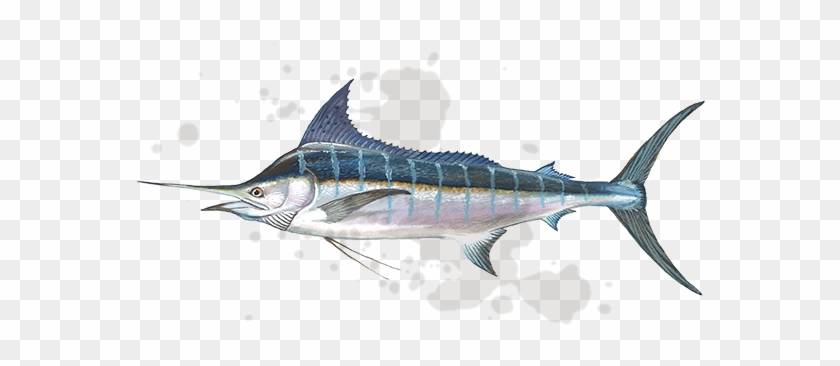 Fishopedia - Sea #416450