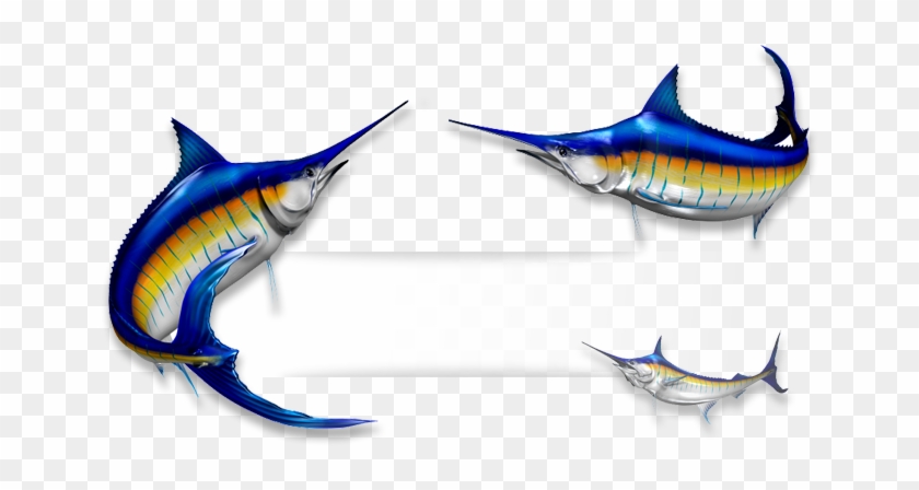 Marlin Fish - Marlin Fish #416492