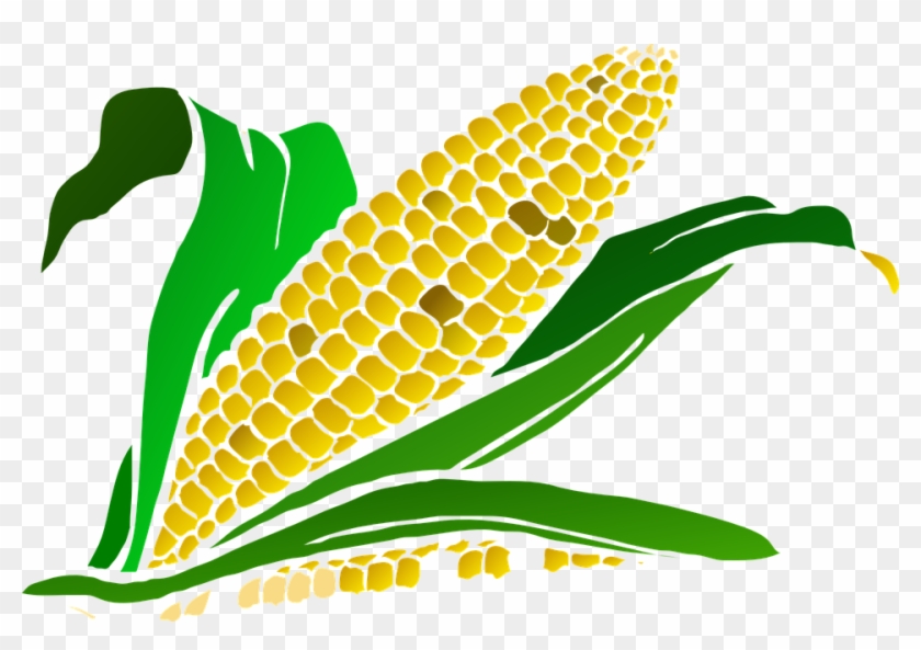 Corn Png - Corn Png Clip Art #417533