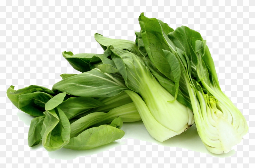 Bok Choy Png Photos - Bok Choy Png #417720