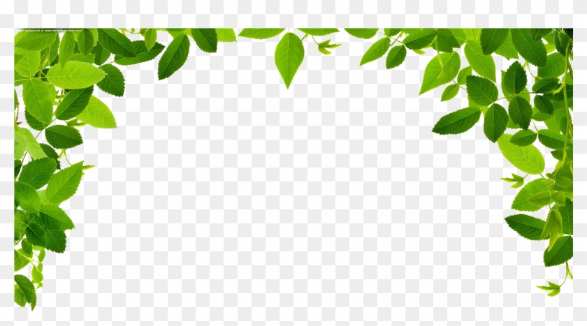 Jungle Border Png Image - Jungle Border Png #417859
