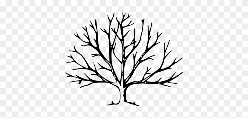 Coloring Trend Thumbnail Size Cutting Down Trees Tree - Tree With No Leaves #418007