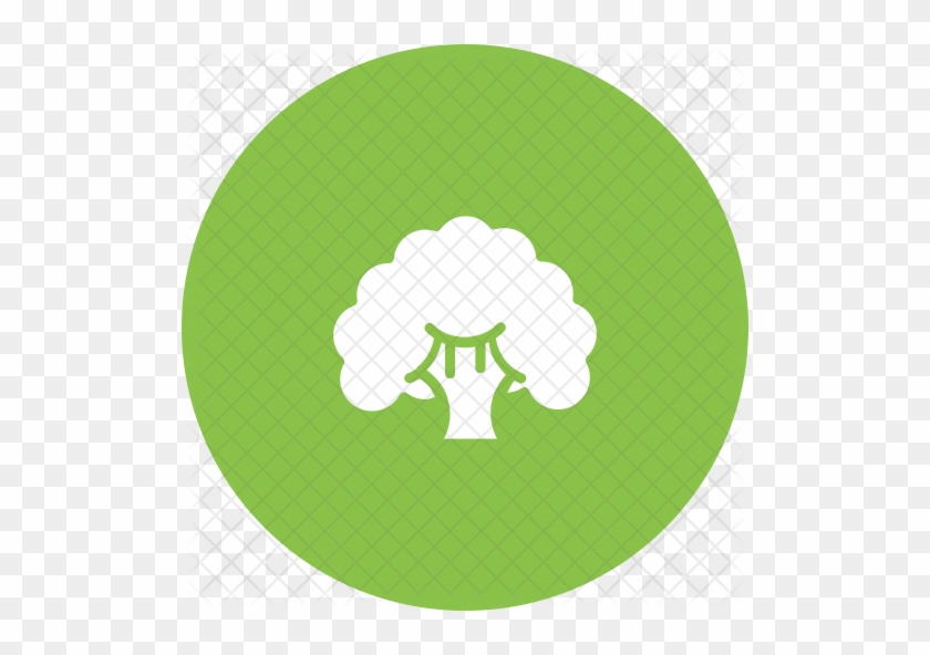 Broccoli Icon - Broccoli #418047