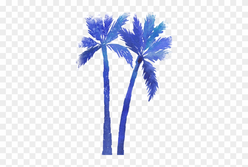 Palms - Borassus Flabellifer #418399