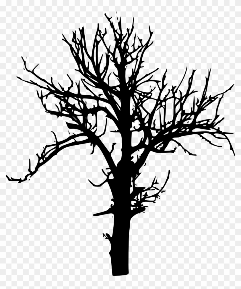 Free Download - Silhouette Trees Transparent Background #418577
