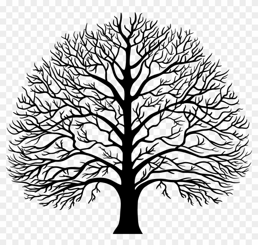 Symmetry Tattoos Pinterest - Tree Of Wisdom Vector #418580