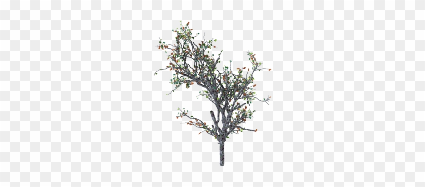 Tree - Chilopsis #418926