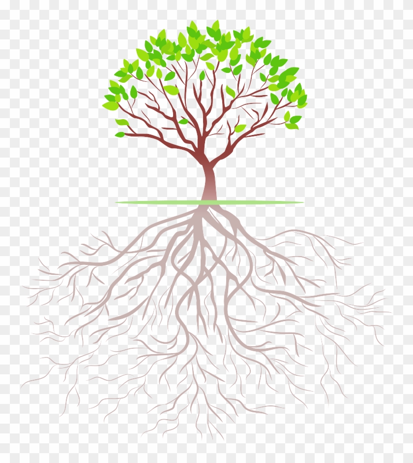 Fresh Life Tree - Illustrator Roots #420478