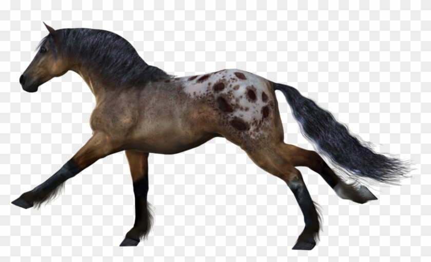 Horse Clipart Transparent Background - Horse #420946