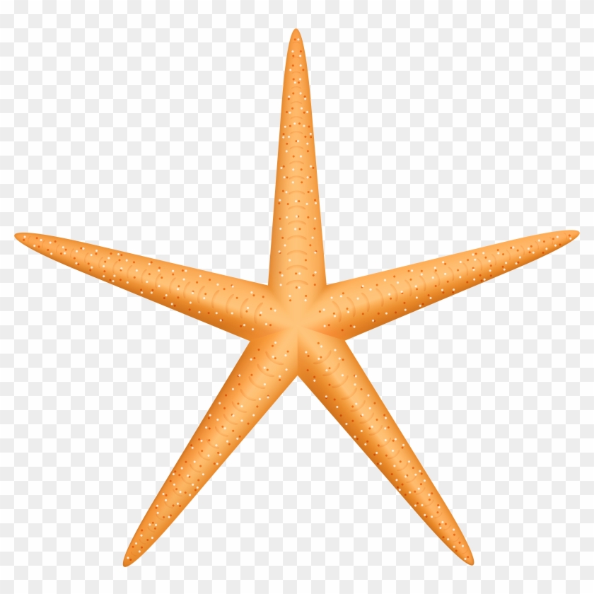 Yellow Starfish Png Clip Art - Yellow Starfish Png Clip Art #68931