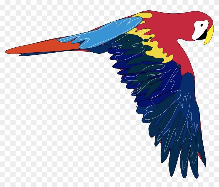 Parrot Clip Art #68994