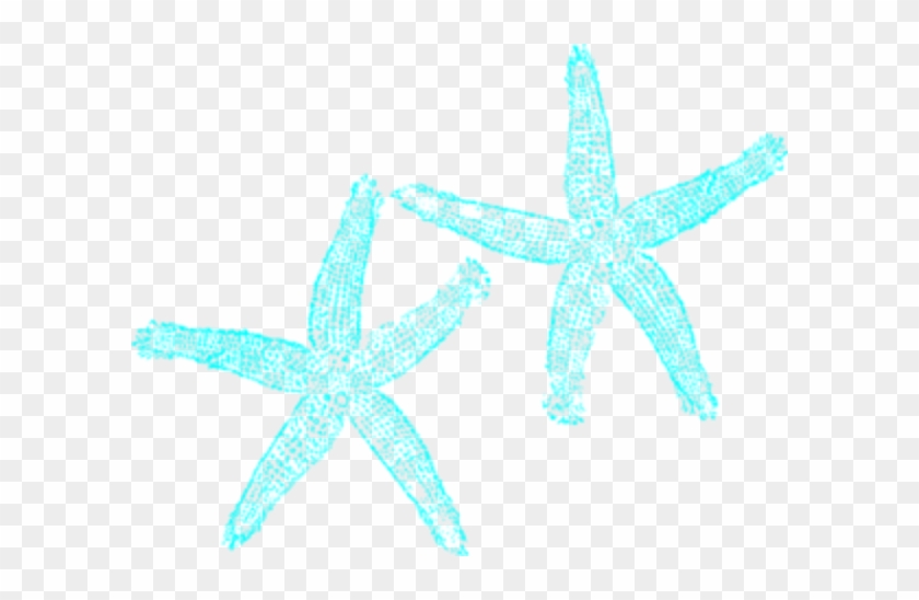 Star Fish Clip Art With No Background #69085