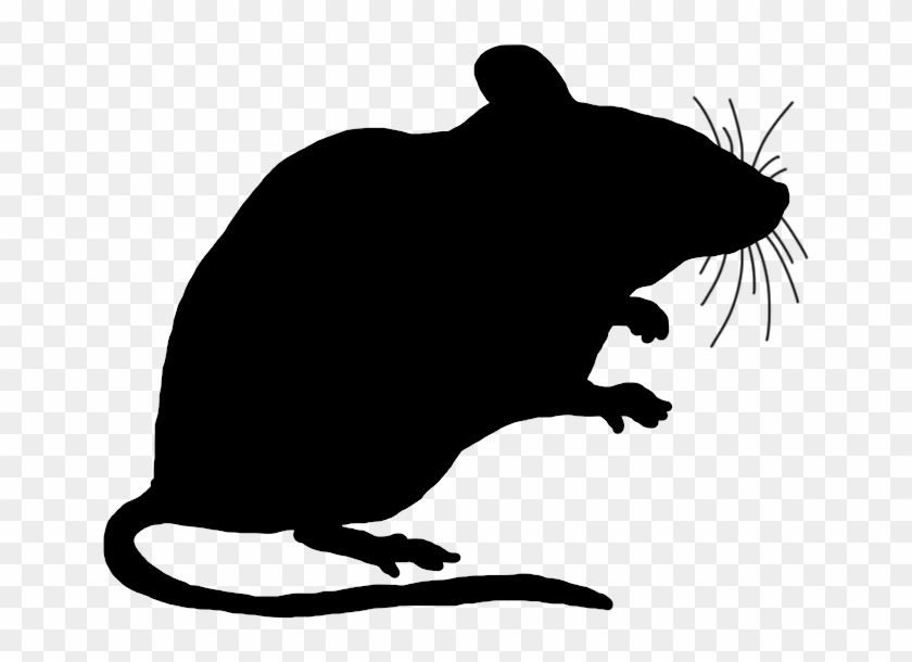 Transparent Mouse Clipart - Mouse Silhouette Clip Art #69885