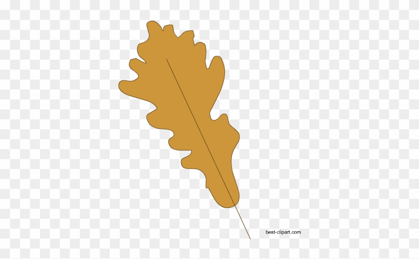 Fall Leaf Clip Art Free - Autumn Leaves #70409