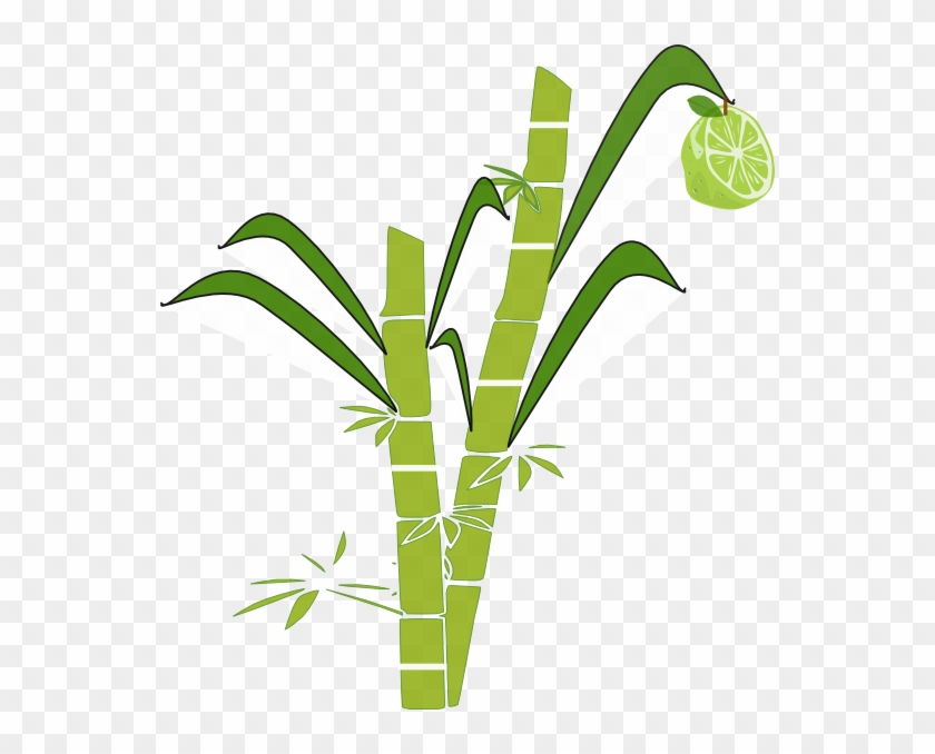 Free Sun Line Art, Download Free Clip Art, Free Clip - Sugar Cane Clipart #71951