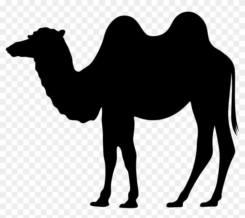 Dromedary Silhouette Clip Art - Dromedary Silhouette Clip Art #73626