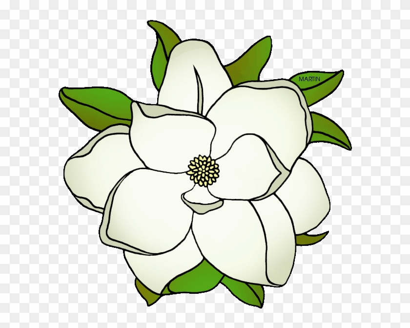 Louisiana State Flower - Magnolia Flower Clipart #74336