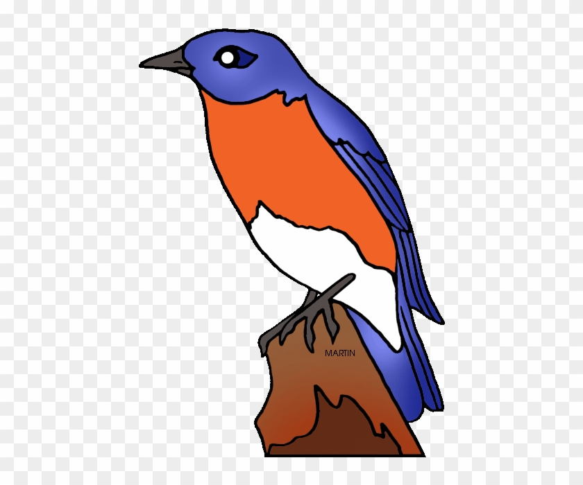 New York State Bird - New York State Bird #74365