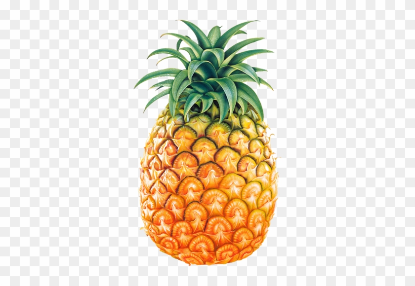 Ананас, Яркий, Вид Спереди, Pineapple, Png - Pineapple Png #421083