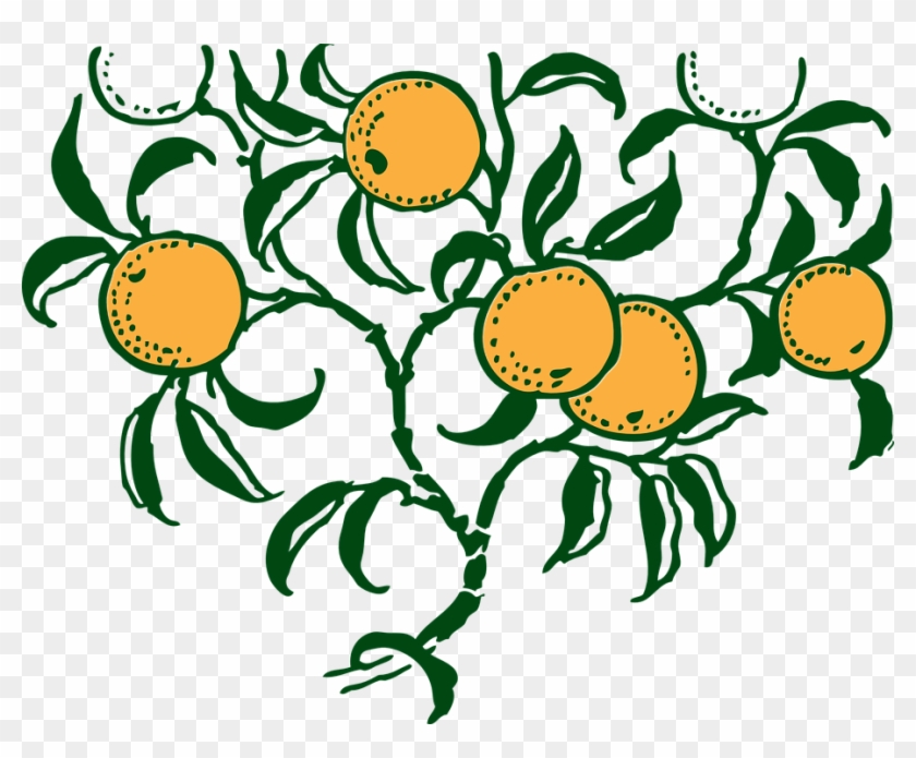 Lemon Tree Clipart 26, Buy Clip Art - Orange Tree Vector Art #421372