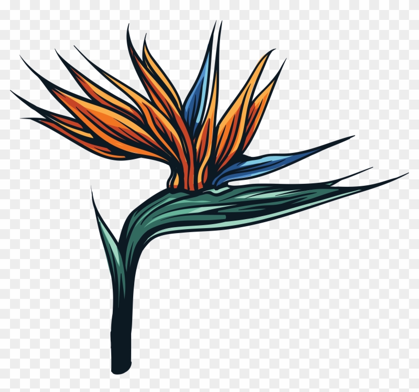Картинка В Png - Floral Flower Wall Decal - Vinyl Car Sticker - Uscolor095 #421384