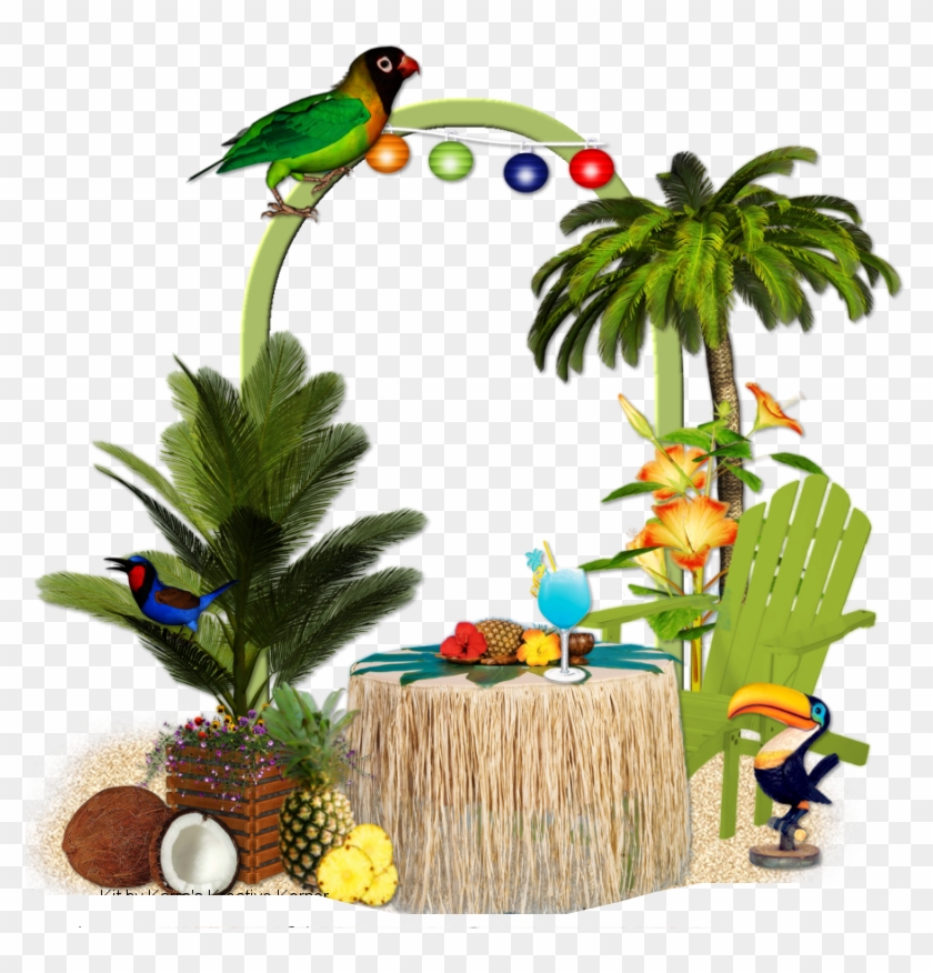 Cluster Tropicalparadise - Tropical Cluster Png #421407