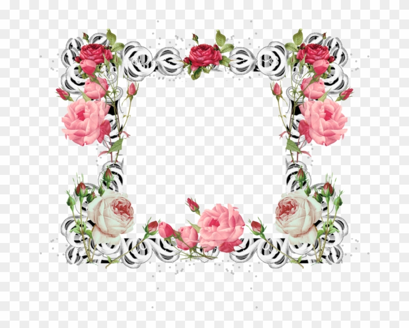 Rose Frame Png By Mysticmorning - 'rosa Indica Vulgaris' Poster Print By Pierre Redoute, #421661