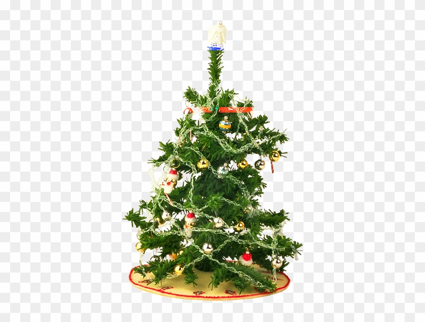 Natalie Said She Is Offering A Free Christmas Dinner - Christmas Day #421731