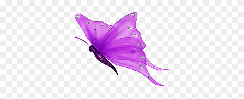 [resource] Purple Butterfly By Ektamisra - Butterfly With Transparent Background #421765
