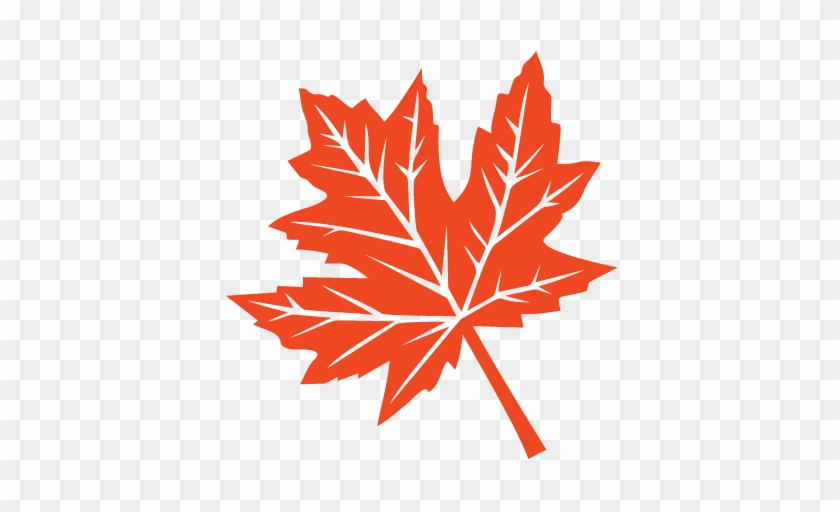 Fall Leaf Svg Scrapbook Cut File Cute Clipart Files - Free Fall Leaves Svg #423016