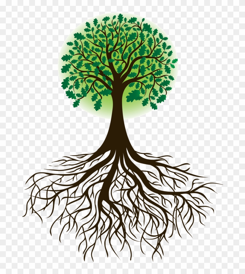 Roots Clipart Cartoon - Tree With Roots Clipart #423705