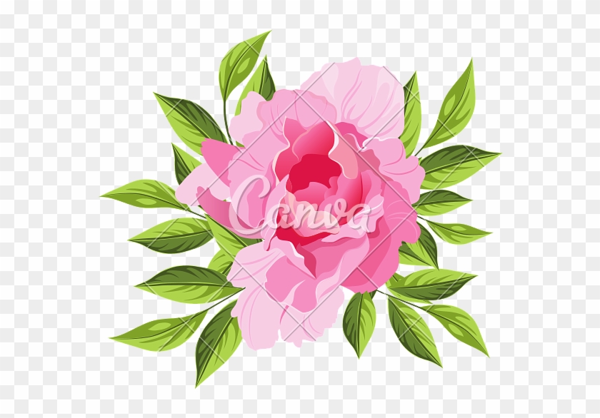 Peony Hand Drawn Realistic Illustration - トルコ キキョウ 花 イラスト #424330