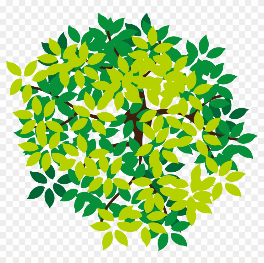 Lush Tree Top - Tree Icon Png From Top #425061