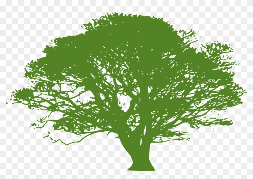Tree Vector Png 27, Buy Clip Art - Oak Tree Silhouette #425055