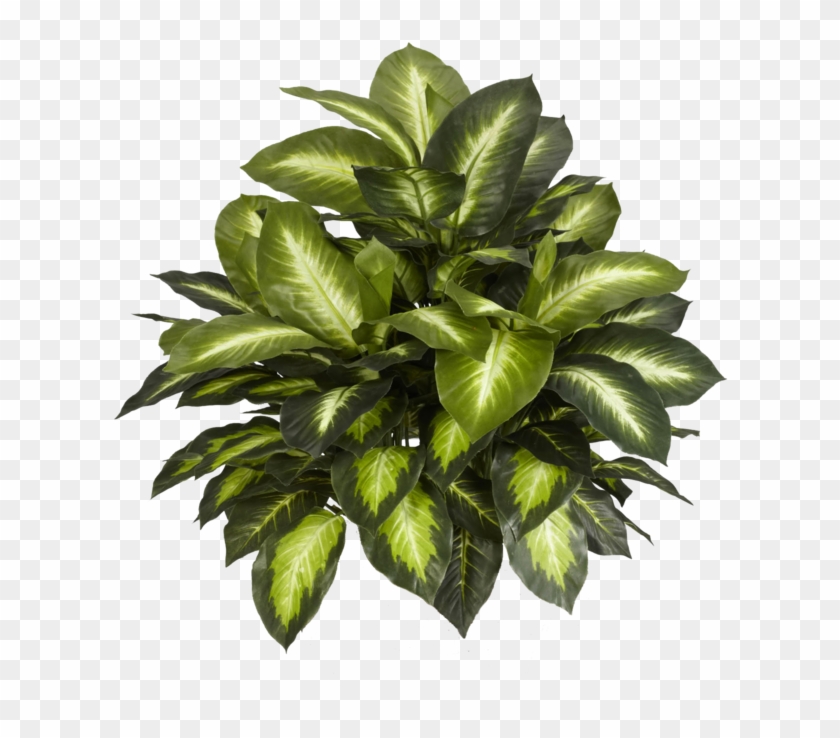 Elegant Plants Top View Psd With Plants Top View Psd - Nearly Natural Silk Plants #425111