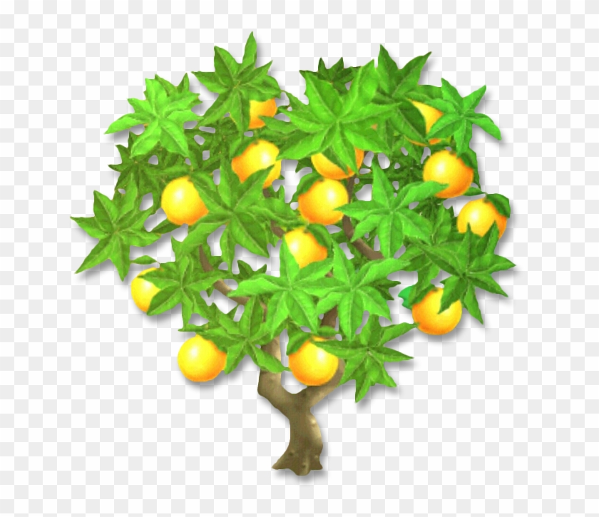 Orange Tree - Eagle Pass #425508