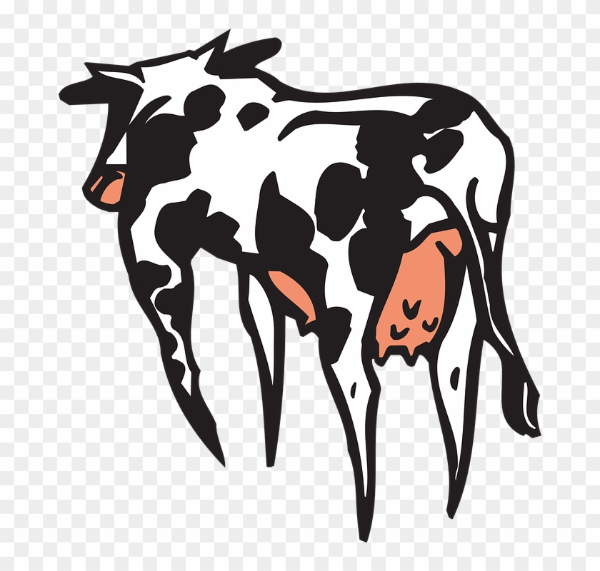 Color View, Farm, Cow, Art, Colored, Animal, Rear, - Cattle #425879