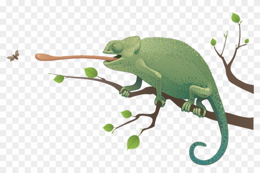   Chameleon Clip Art #426002