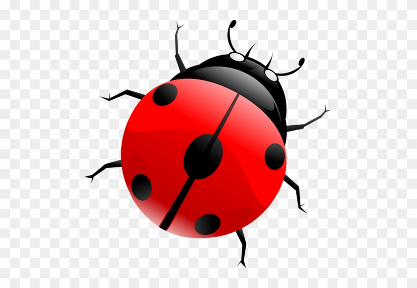 Clipart Coccinelle - Portable Network Graphics #426047