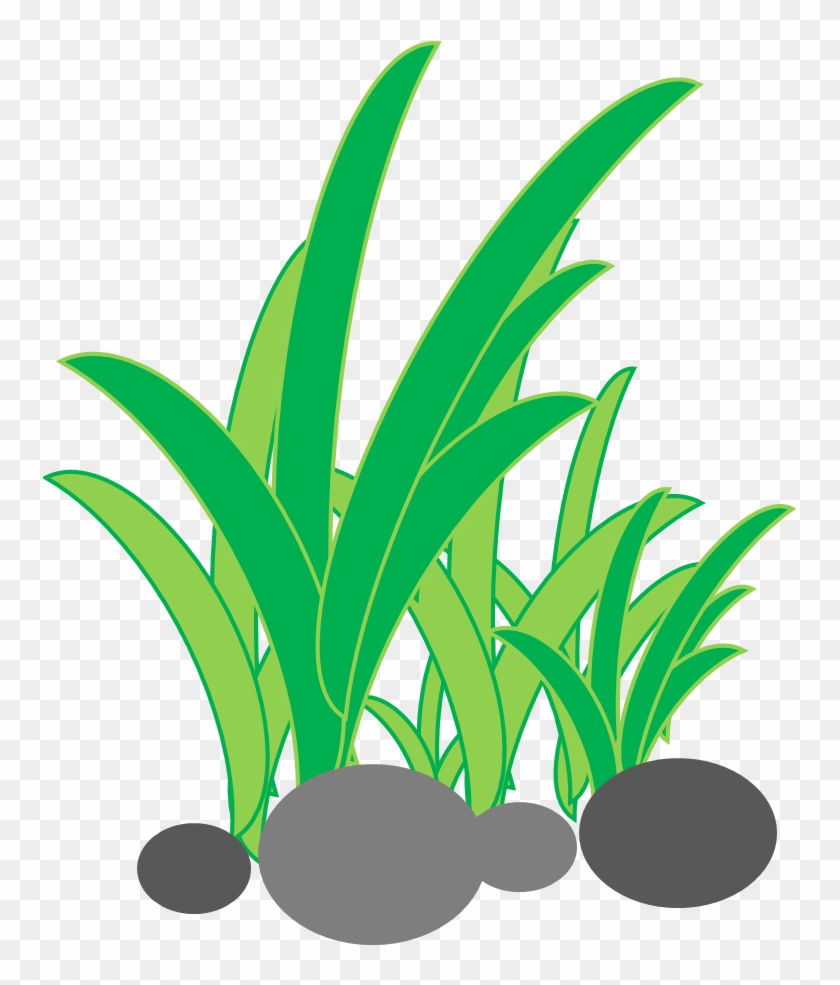 Membuat Rumput Di Powerpoint - Rumput Animasi #426257