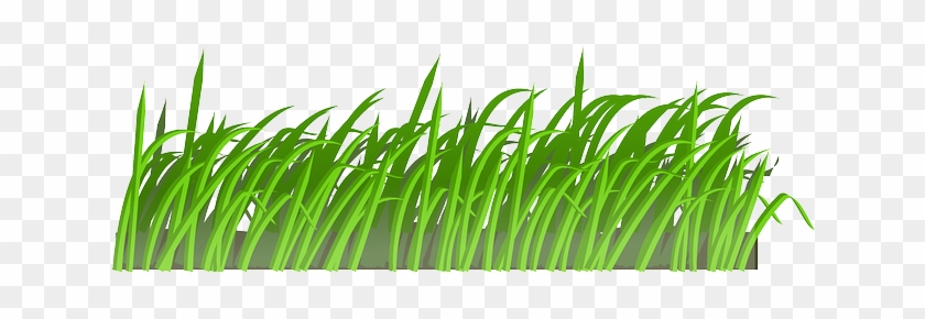 Lawn Clipart Rumput Pencil Color 5 Gambar Animasi - Grass Texture Png #426270