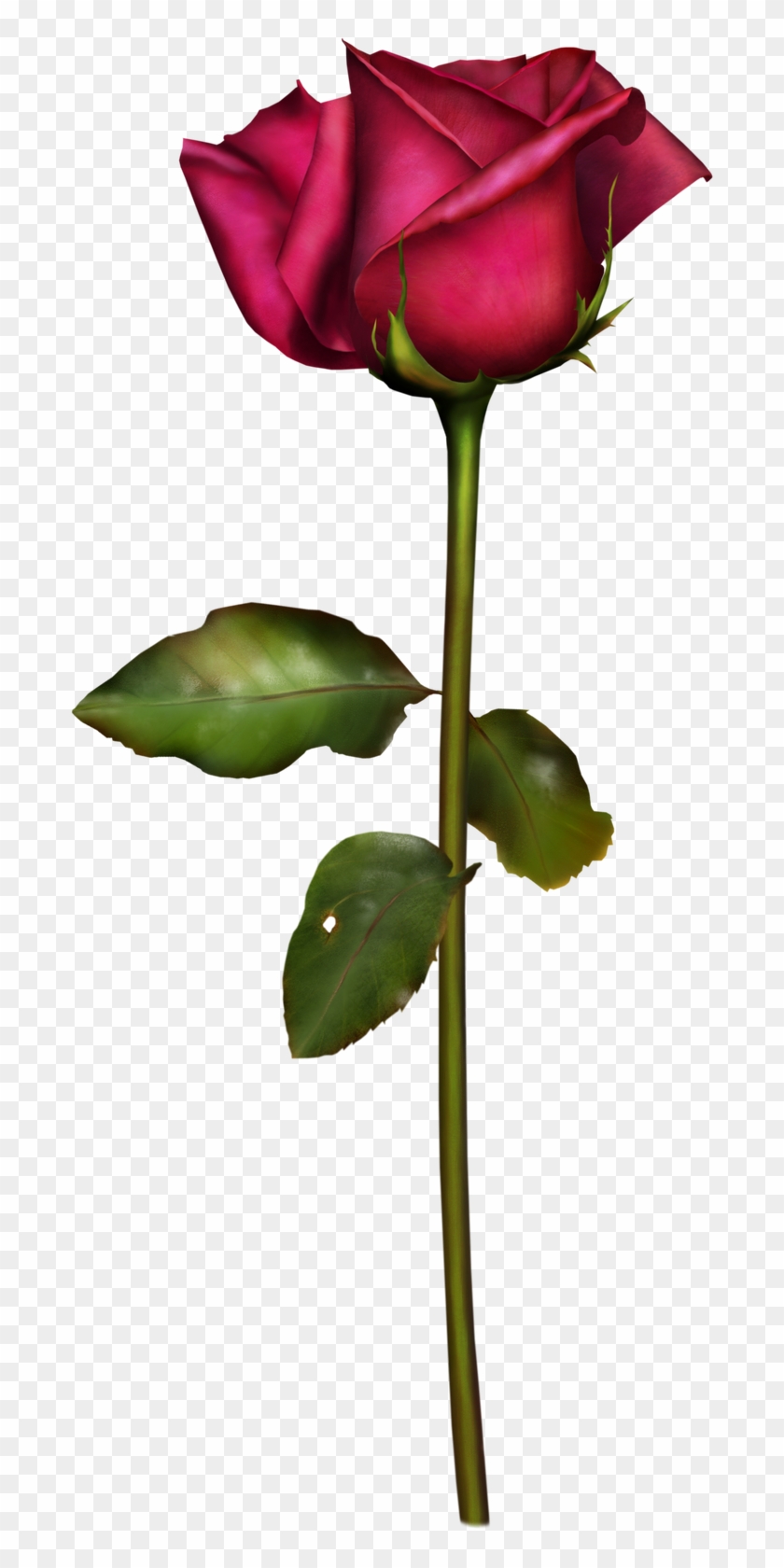 Rosas Png #426308