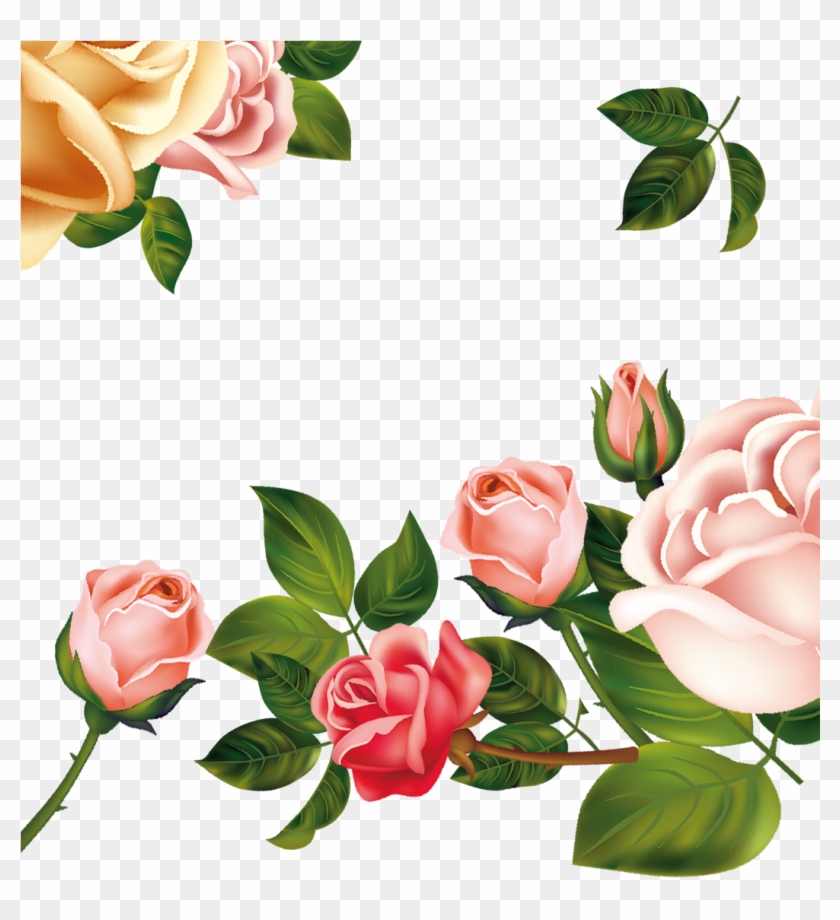 Garden Roses Beach Rose Centifolia Roses Pink - Garden Roses Beach Rose Centifolia Roses Pink #426452